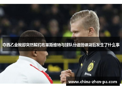 夺西乙金靴却突然解约布莱斯维特与球队分道扬镳背后发生了什么事 夺西乙金靴却突然解约布莱斯维特与球队分道扬镳背后发生了什么事